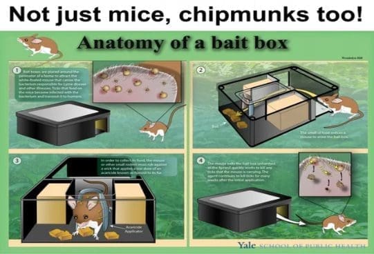 Infographic of bait box anatomy for mice and chipmunks, used in tick control systems in Southern Maine