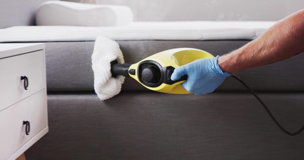 Professional steam treatment for bed bugs on sofa – bed bug control Maine