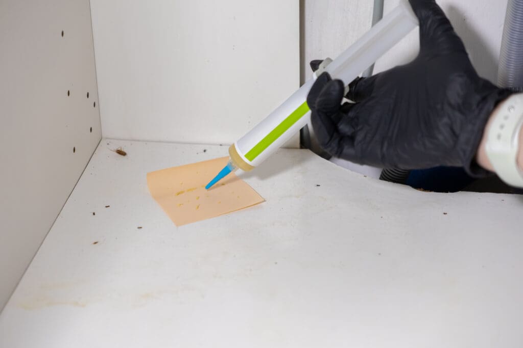 Close-up of a gloved hand using a syringe applicator to apply beige cockroach-killing gel onto a small bait trap inside a white cabinet shelf, with a dead cockroach and droppings visible nearby.