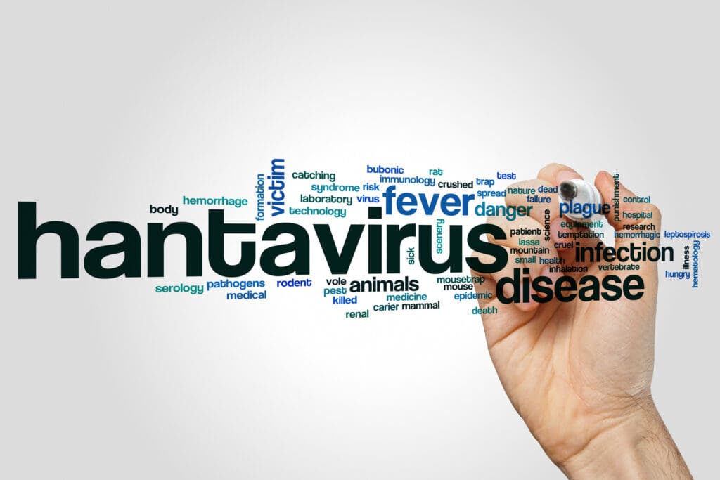 Hantavirus word cloud with related terms including fever, disease, infection, rodent, and mouse, beside a hand holding a marker